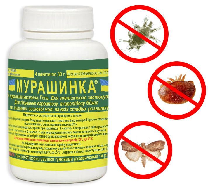 мурашинка_муравьинка_муравьиная_кислота